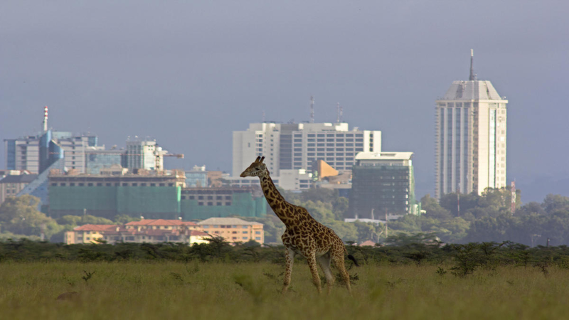 Nairobi National Park with the city's skyline in the background